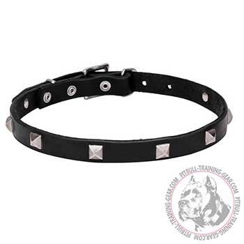 Stylish Leather Dog Collar for Pit Bull Walking