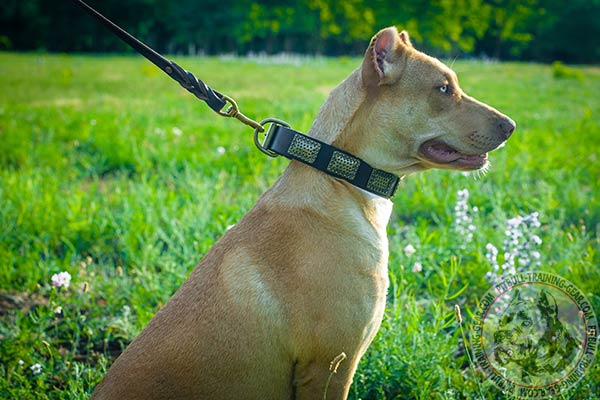 Pitbull leather collar with vintage with handset decoration for quality control