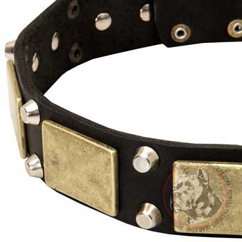 Vintage Plates and Pyramids on Fashionable Leather Dog Collar for Pitbull