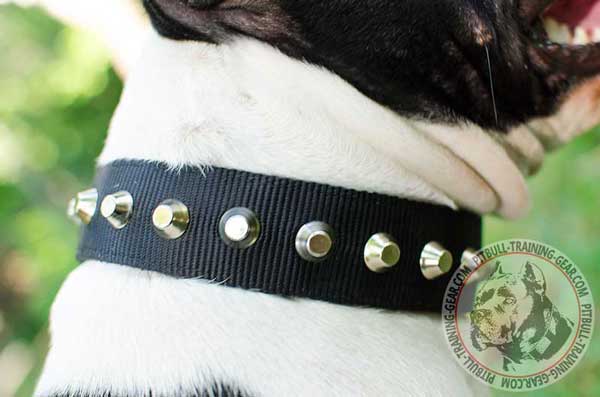 Beautiful Pyramids on Adjustable Walking Nylon Pitbull Collar Gorgeous Pyramids on Adjustable Wide Nylon Pitbull Collar
