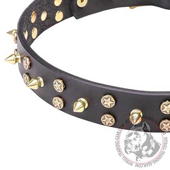 Brass Decoration on Leather Dog Collar 