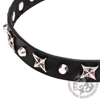 Rustproof nickel plated adornment on Pit Bull Dog Collar