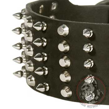 Spikes and Pyramids on Walking Adjustable Leather Dog Collar for Pit Bull