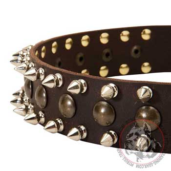 Spikes and Studs on Fashion Training Leather Dog Collar for Pit Bull