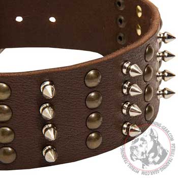 Spikes and studs adornment of leather dog collar for Pitbull