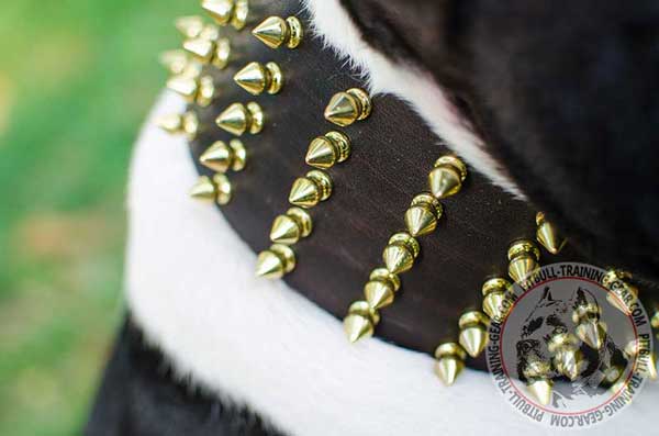 Spikes on Adjustable Leather Dog Collar for Pleasant Walking