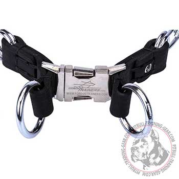 Chrome Plated Steel Attachment Rings on Pitbull Pinch Collar