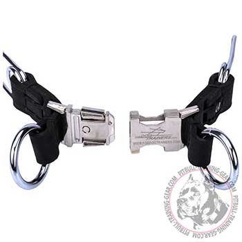 Steel Chrome Plated Quick Release Buckle of Pitbull Pinch Collar