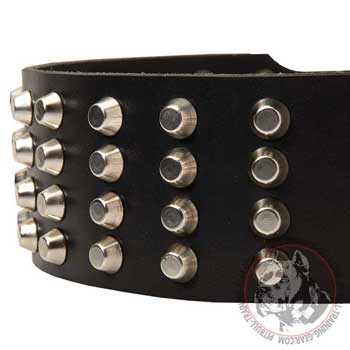 Sturdy steel nickel plated studs of leather dog collar for Pitbull walking