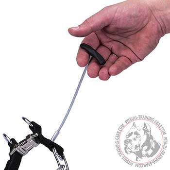 Pit Bull Pinch Collar with Strict Control Handle