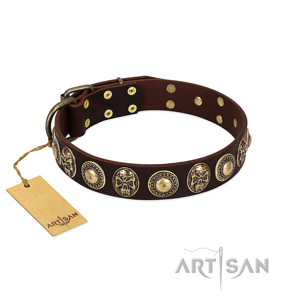 Incredible full grain genuine leather dog collar for everyday walking