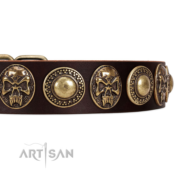 Full grain leather dog collar with decorations for daily use