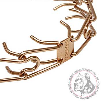 Links imitating mother-dog's teeth on pinch collar