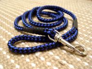 Nylon dog leash