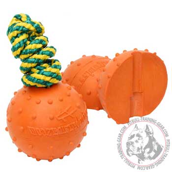 Pit Bull Ball Water Training With Dotted Surface