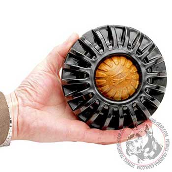 Large-sized dog treat dispenser for Pitbulls