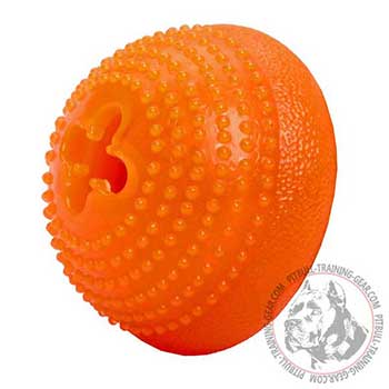 Pit Bull Dog Chew Toy Made of Dotted Rubber