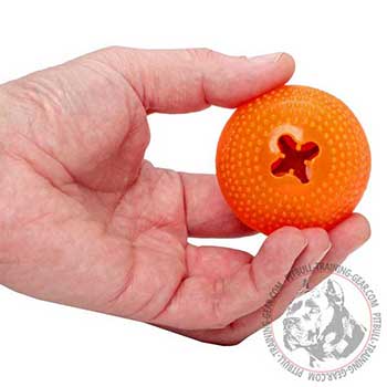 Pit Bull Dog Chew Toy for Puppy
