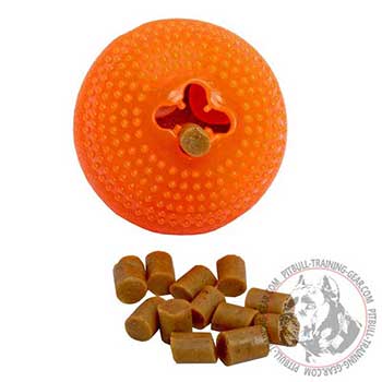 Pitbull Dog Rubber Toy for Treat Dispensing