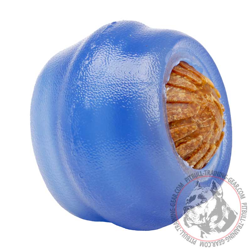 Homemade Treat Dispensing Dog Toys Homemade Treat Dispensing Dog Toys