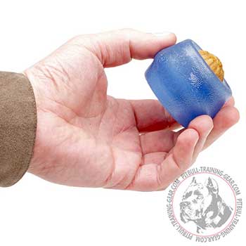Pitbull dog chewing toy, holds 2 treats