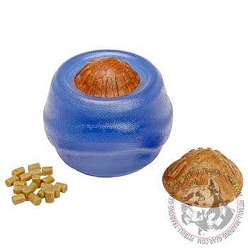 Dog large-sized treat dispenser for Pitbull breed