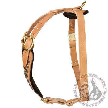 Leather American Pit Bull Terrier Harness with Strong Adjustable Straps