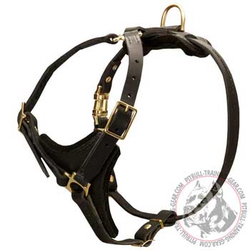 Leather American Pit Bull Terrier Harness for Effective Tracking