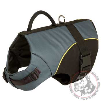 Weatherproof American Pit Bull Terrier harness