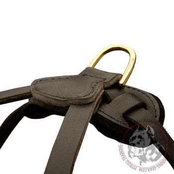 Rustproof Brass D-Ring on Leather Dog Harness for Pulling