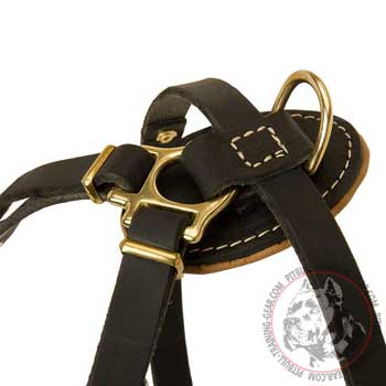 Brass hardware of American Pit Bull Terrier harness