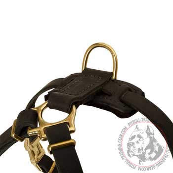 Durable brass hardware of Pit Bull harness