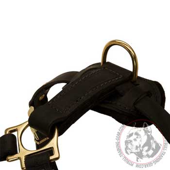 Durable Brass Hardware of a Genuine Leather Tracking Dog Harness