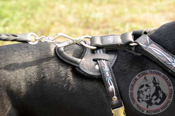 Strong D-Ring on Leather Handmade American Pit Bull Terrier Harness