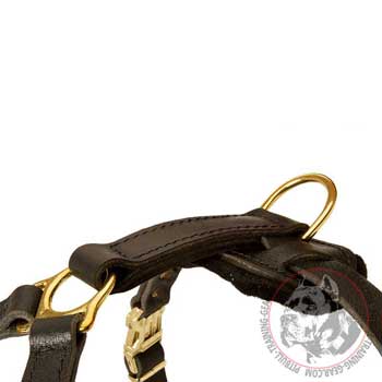 D-Ring on American Pit Bull Terrier Harness for Leash Attachment