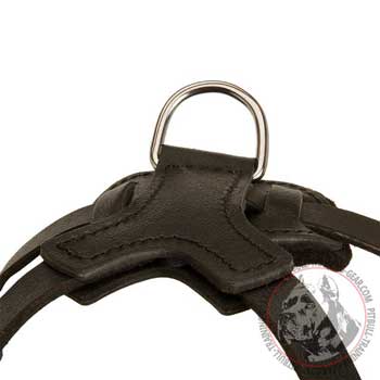 D-ring on leather dog Harness light Weight for Training