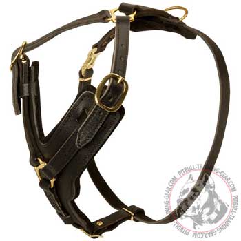 Adjustable Leather Dog Harness for Pitbull Padded Inside