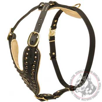 Fashion Pitbull harness for dog walking