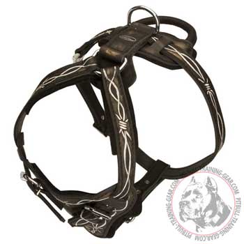 Rustproof Nickel Fittings on Leather Custom Pitbull Harness