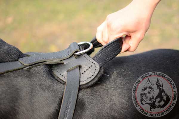 Comfy Handle on protection training leather dog harness 