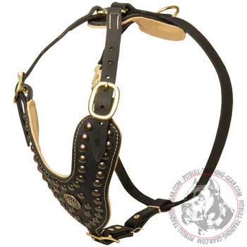 Leather dog harness for Pit Bull with adjustable straps