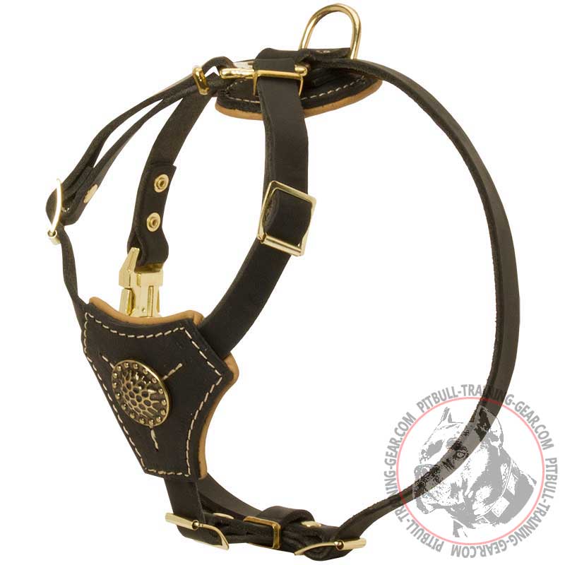 puppy training harness