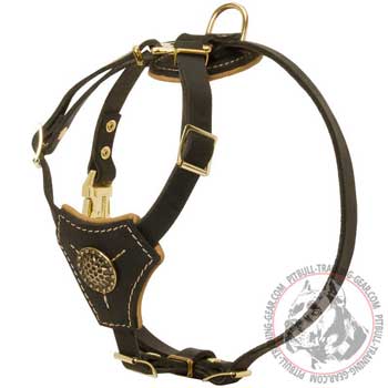 Leather dog harness for Pitbull puppy training