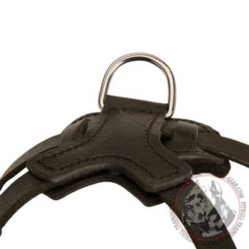 Heavy-Duty Nickel D-Ring on Leather Dog Harness for Attachment of your Leash