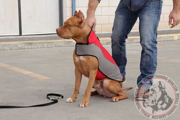 Grab your Dog Fast Using Nylon Coat for Pitbull with Stand up Collar 