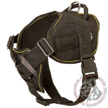 Nylon dog harness for Pitbull with cushioned chest plate