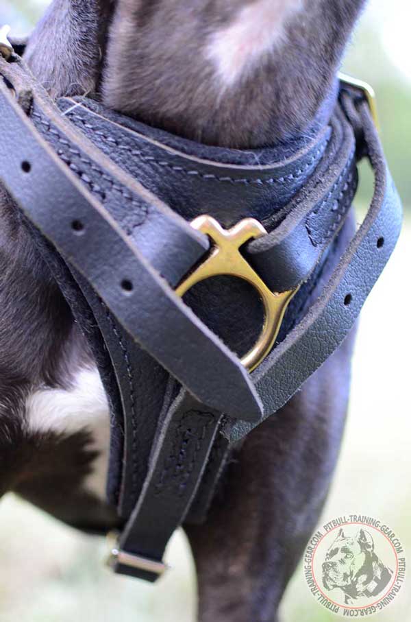 Padded Chest Plate on Leather Dog Harness for Absorbing the Shock