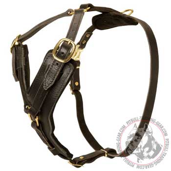 Felt Padded Adjustable Leather Harness for Pit Bull