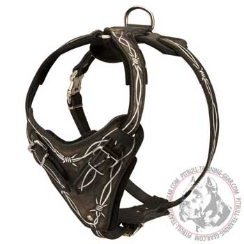 Designer Walking Leather Pit Bull Harness