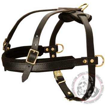 Adjustable and Light-Weight Leather Harness for Pit Bull
